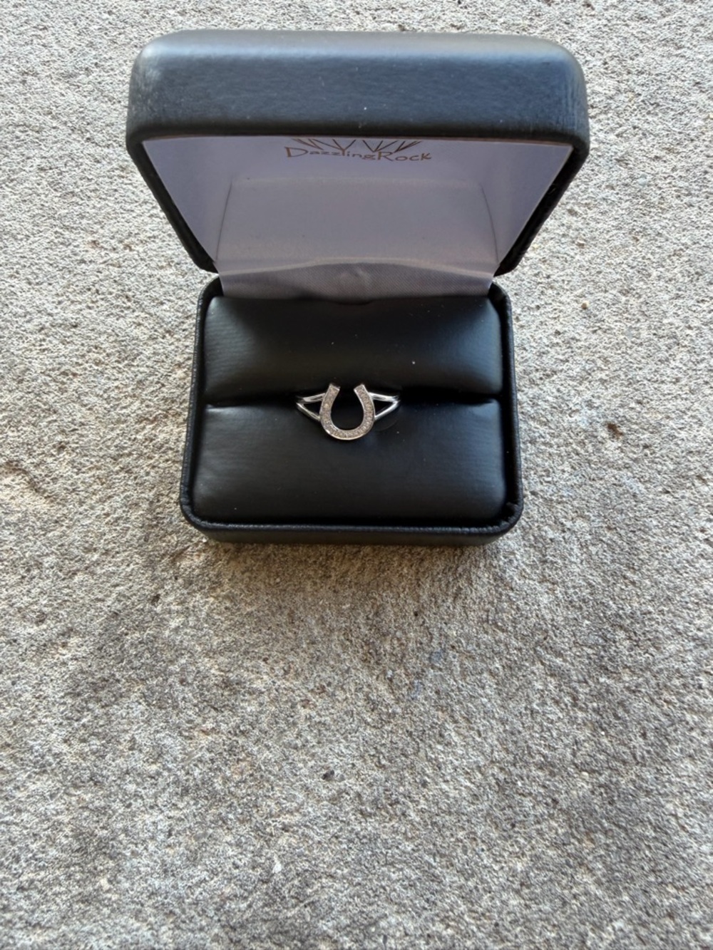 White Gold Horseshoe Ring in Black Box